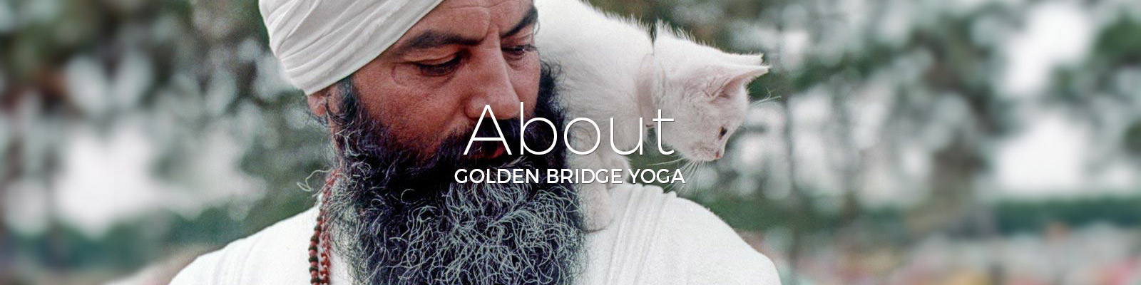 About Golden Bridge Yoga